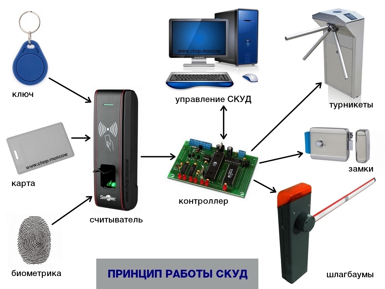 Картинка 2